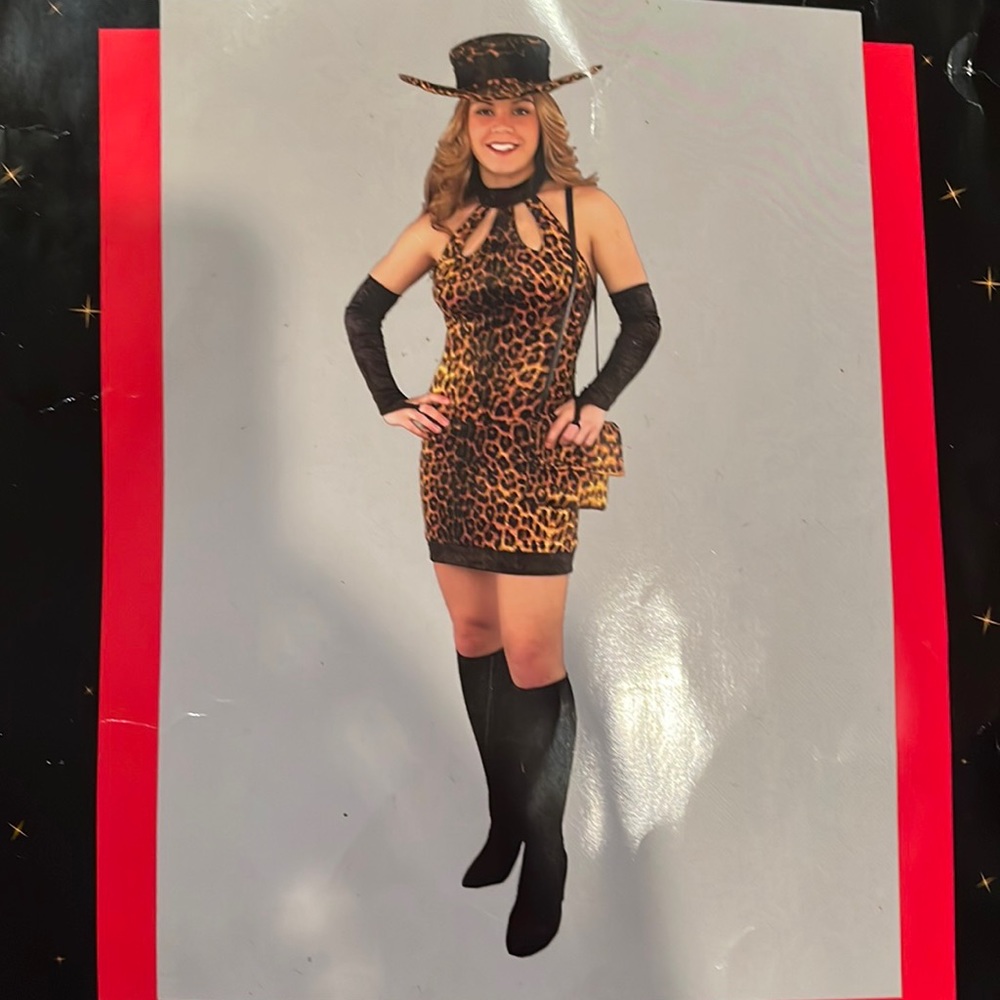 Mac Daddy Diva Costume Dress